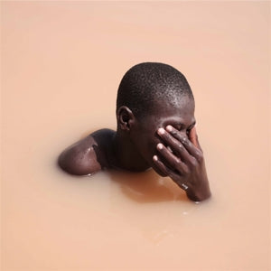 Fleshworld - The Essence Has Changed, but the Details Remain (CD)