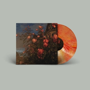 John Bence - Love (Color)