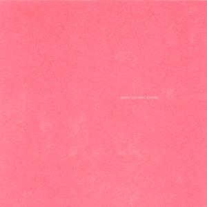 Sunny Day Real Estate - LP2