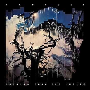 Bauhaus - Burning from the Inside