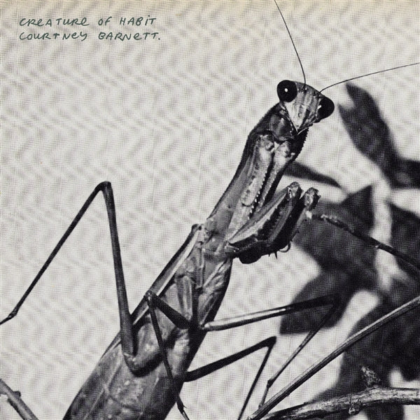 Courtney Barnett - Creature of Habit