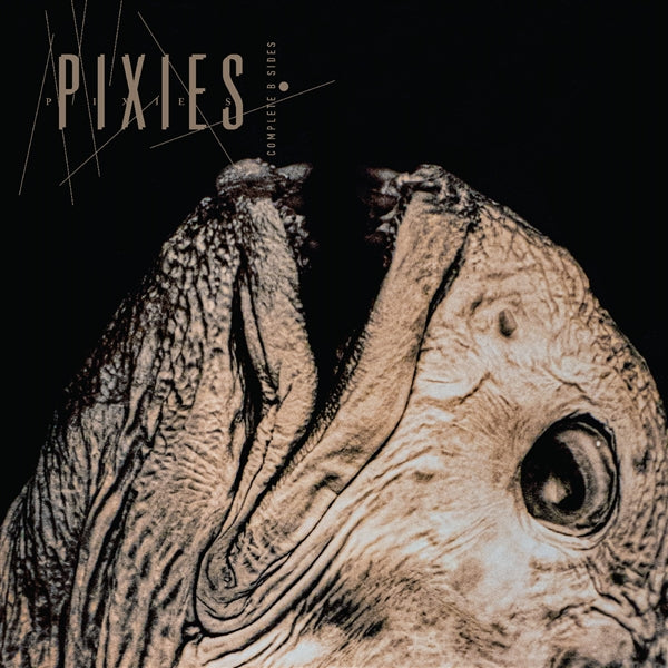 Pixies - Complete B Sides 88-97