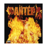 Pantera - Reinventing The Steel