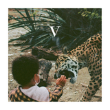 Unknown Mortal Orchestra - V