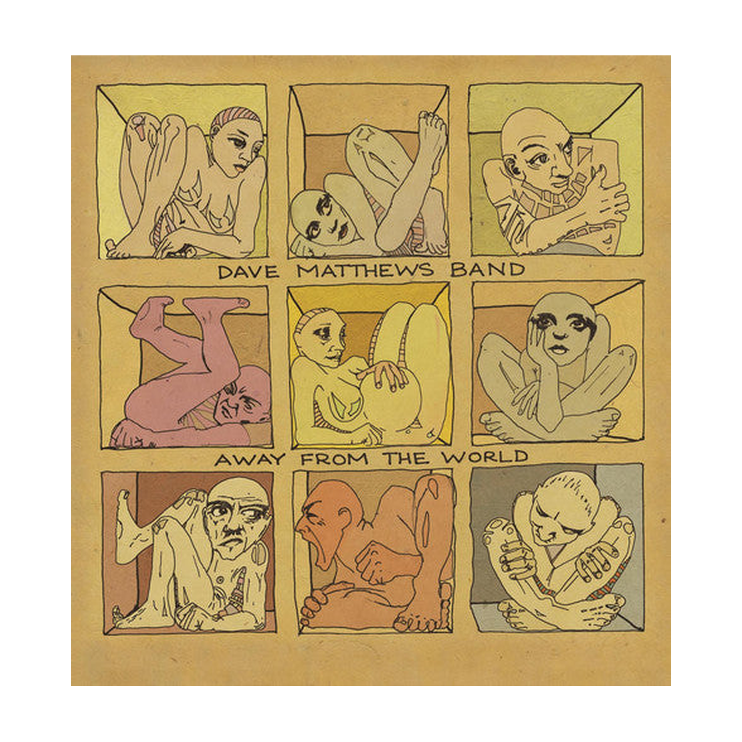 Dave Matthews - Away from the World 2xLP (Clear Vinyl)