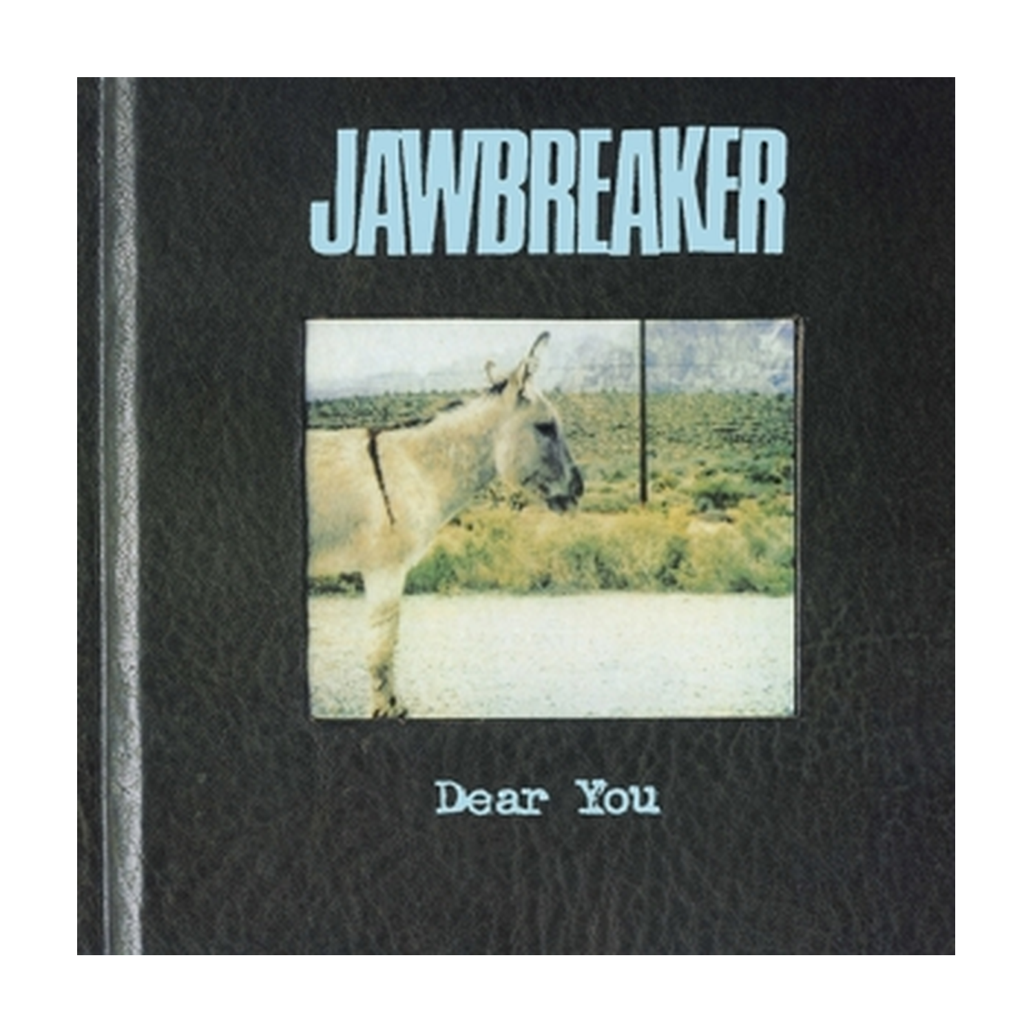 Jawbreaker - Dear You