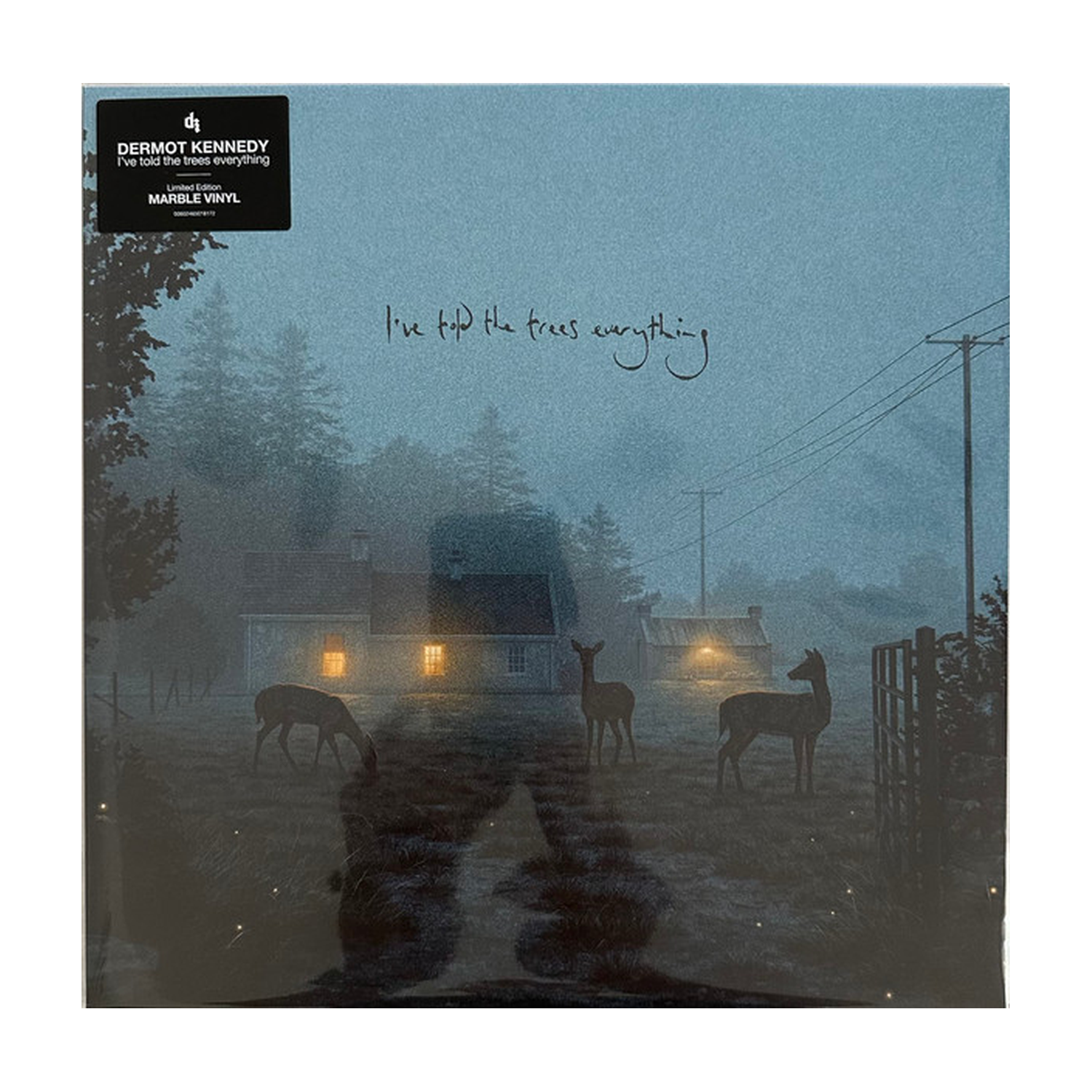 Dermot Kennedy - I've Told The Trees Everything - Transparent Gold Colored Vinyl (Gold Vinyl)