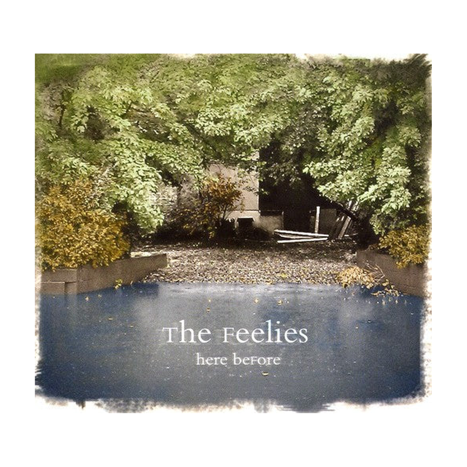 Feelies - Here Before (CD)