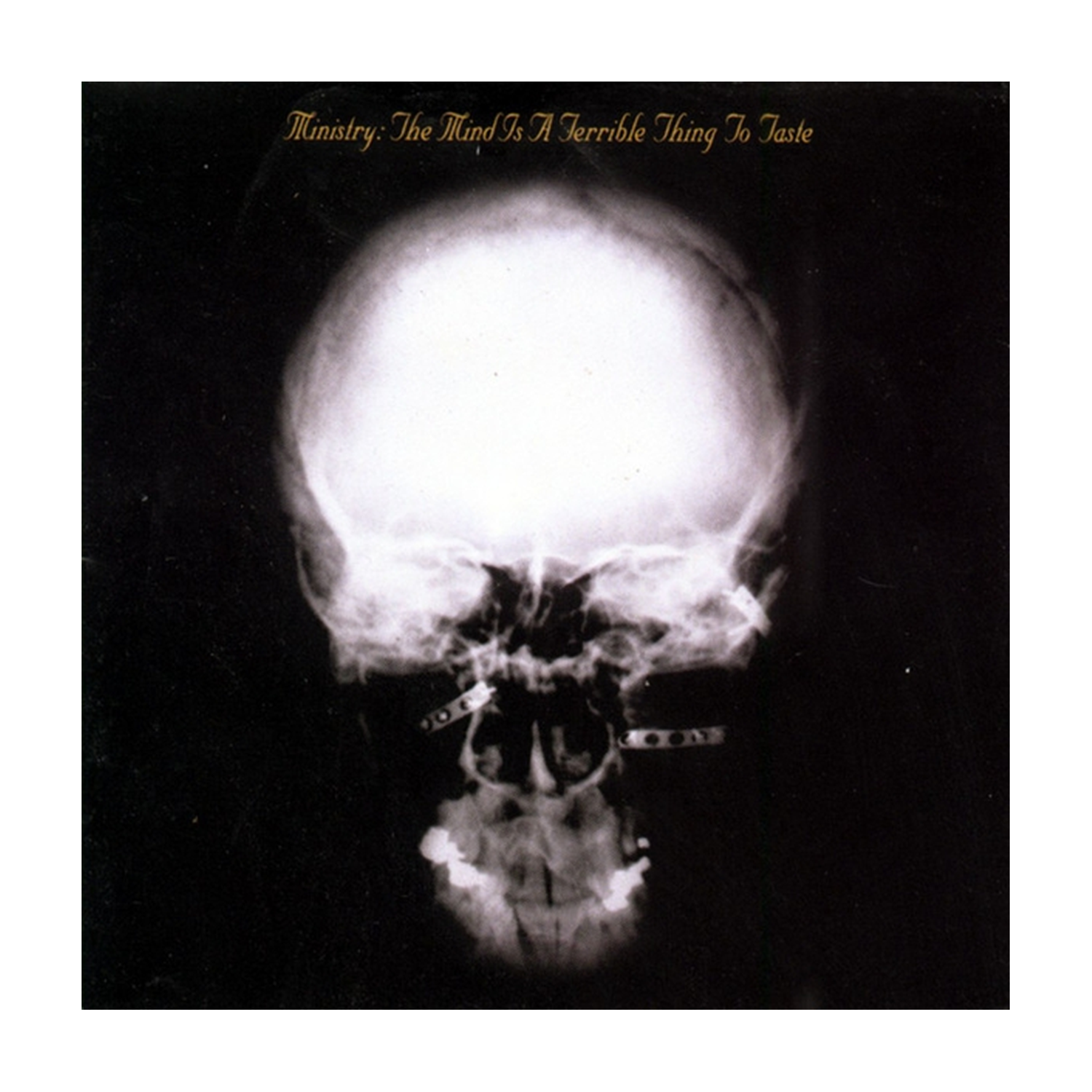 Ministry - The Mind Is A Terrible Thing To Taste 2xLP (Expanded)