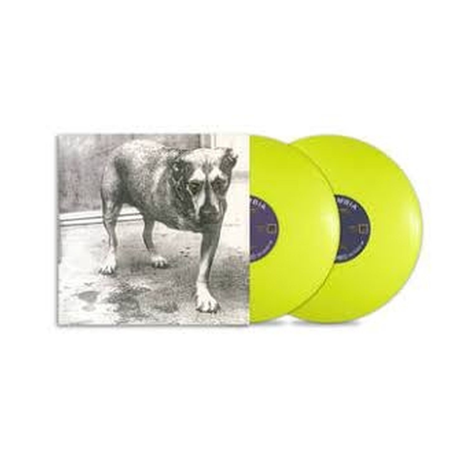 Alice in Chains (Anniversary Edition)