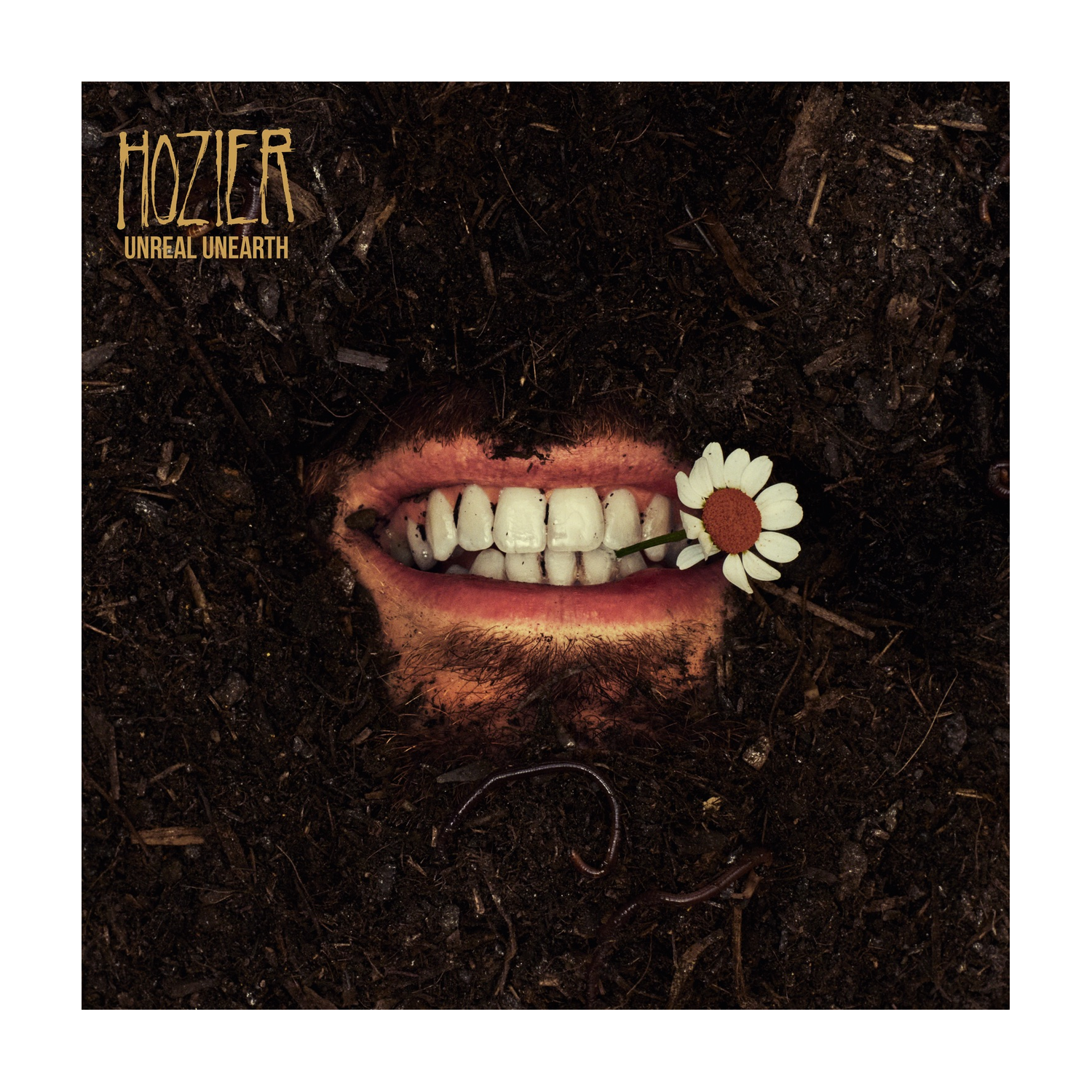 Hozier - Unreal Unearth
