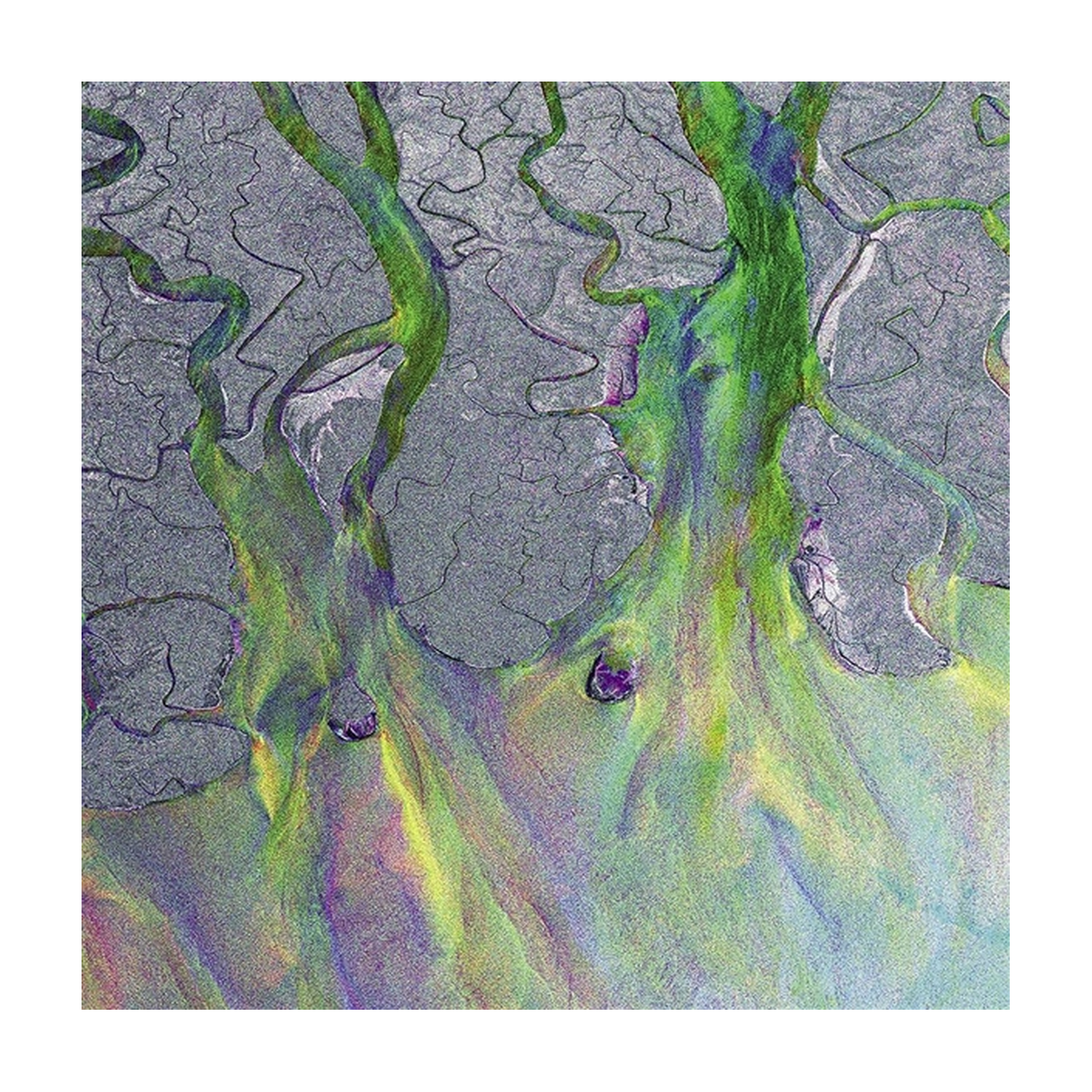 Alt-J - An Awesome Wave (Limited Edition)
