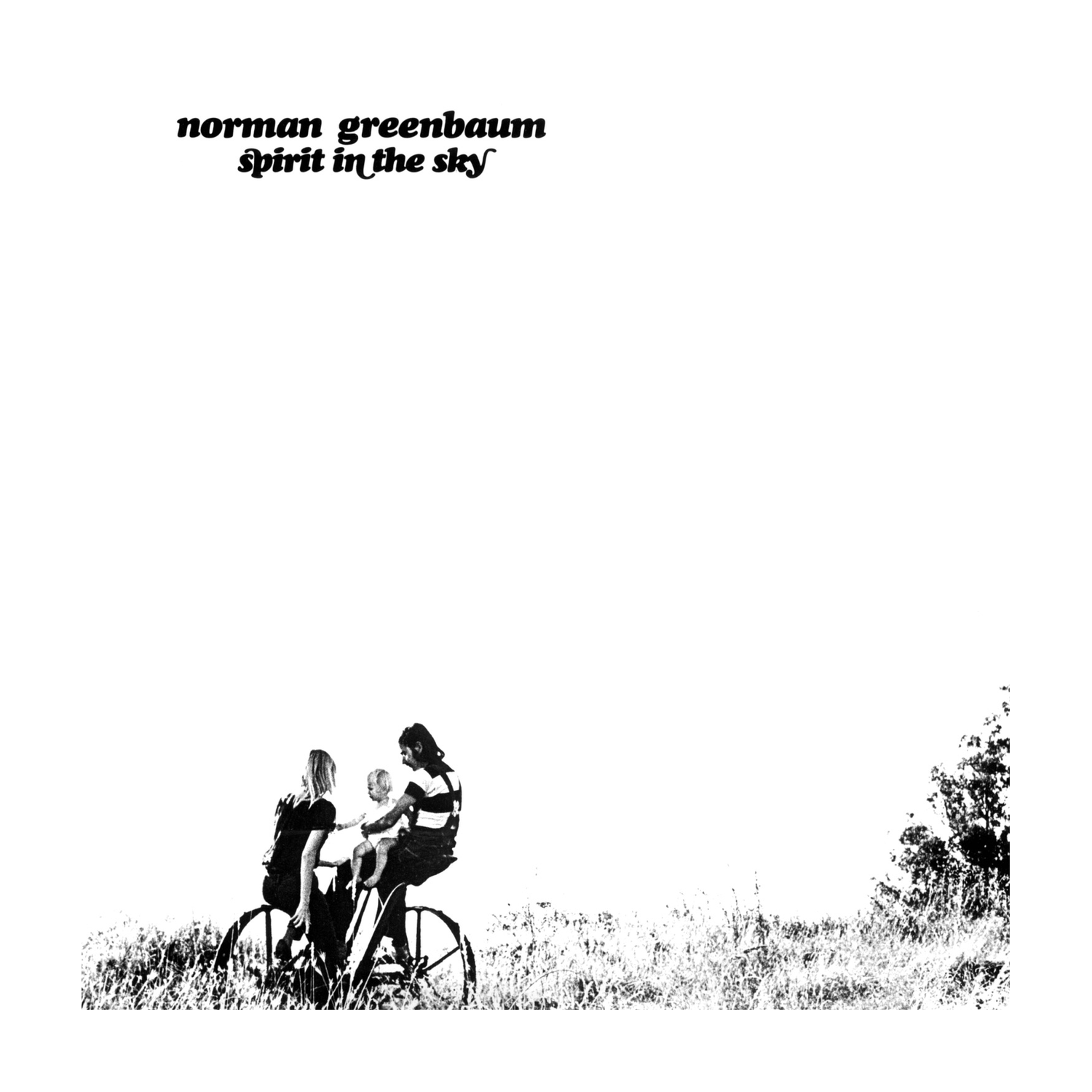 Norman Greenbaum - Spirit In The Sky (CD)