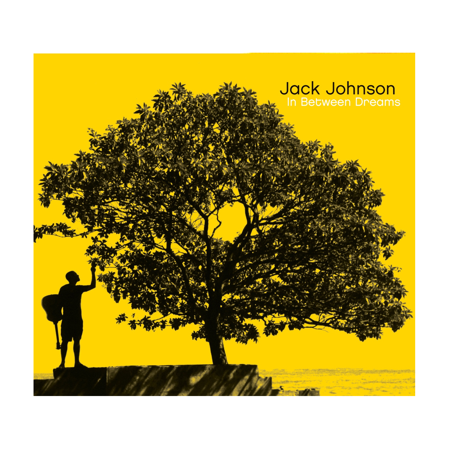 Jack Johnson - In Between Dreams
