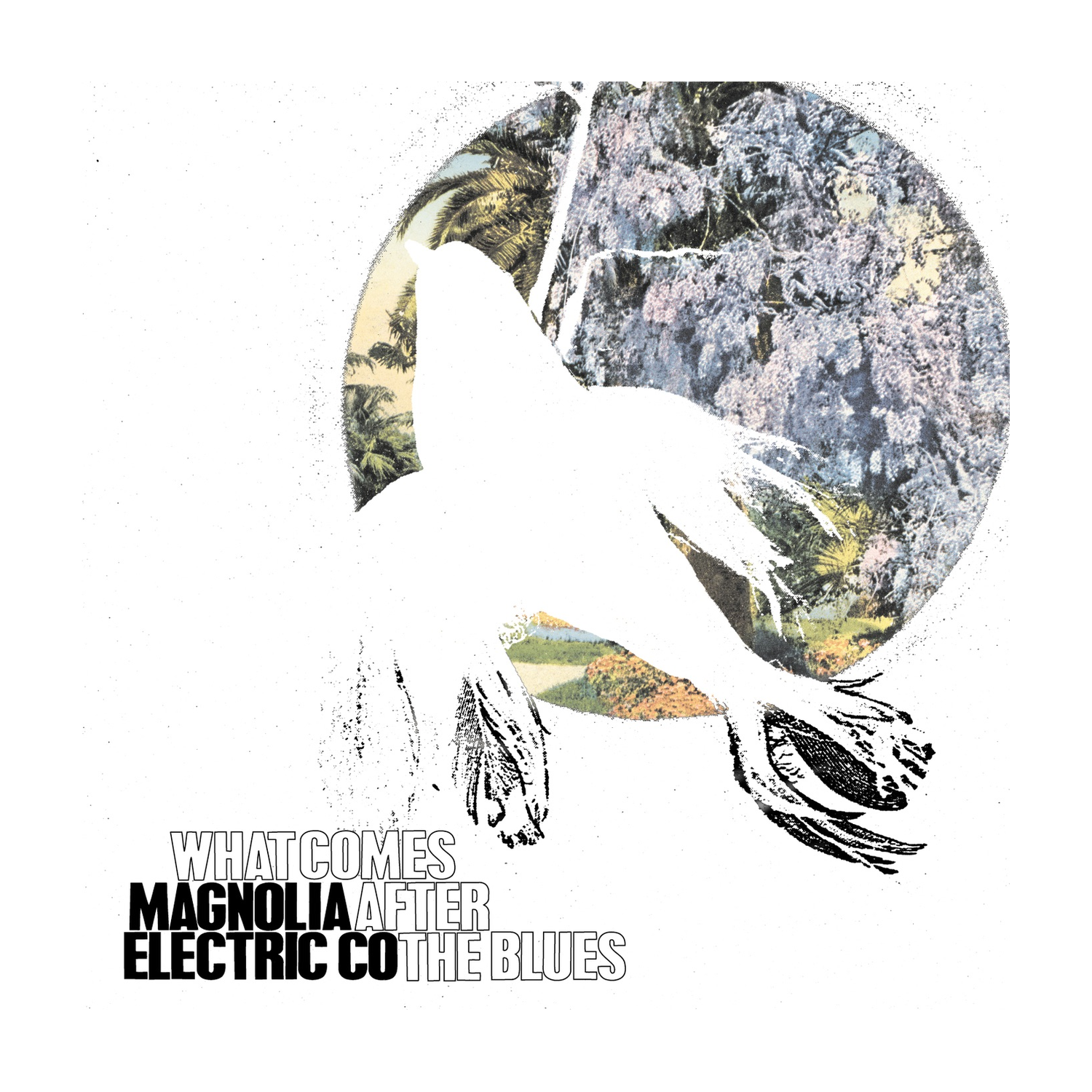 Magnolia Electric Co - What Comes After the Blues