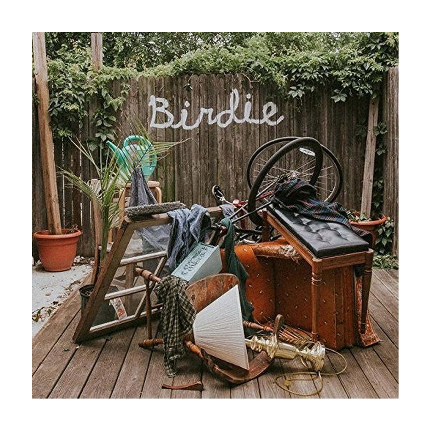 Slaughter Beach Dog - Birdie (CD)