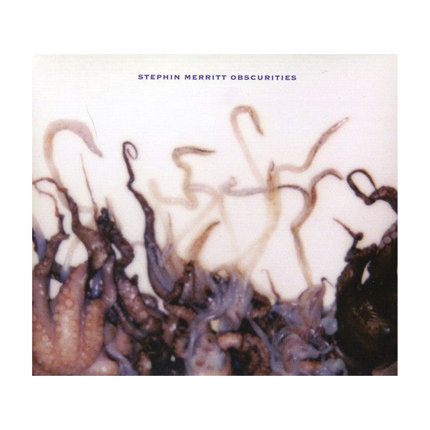 Stephin Merritt - Obscurities (CD)