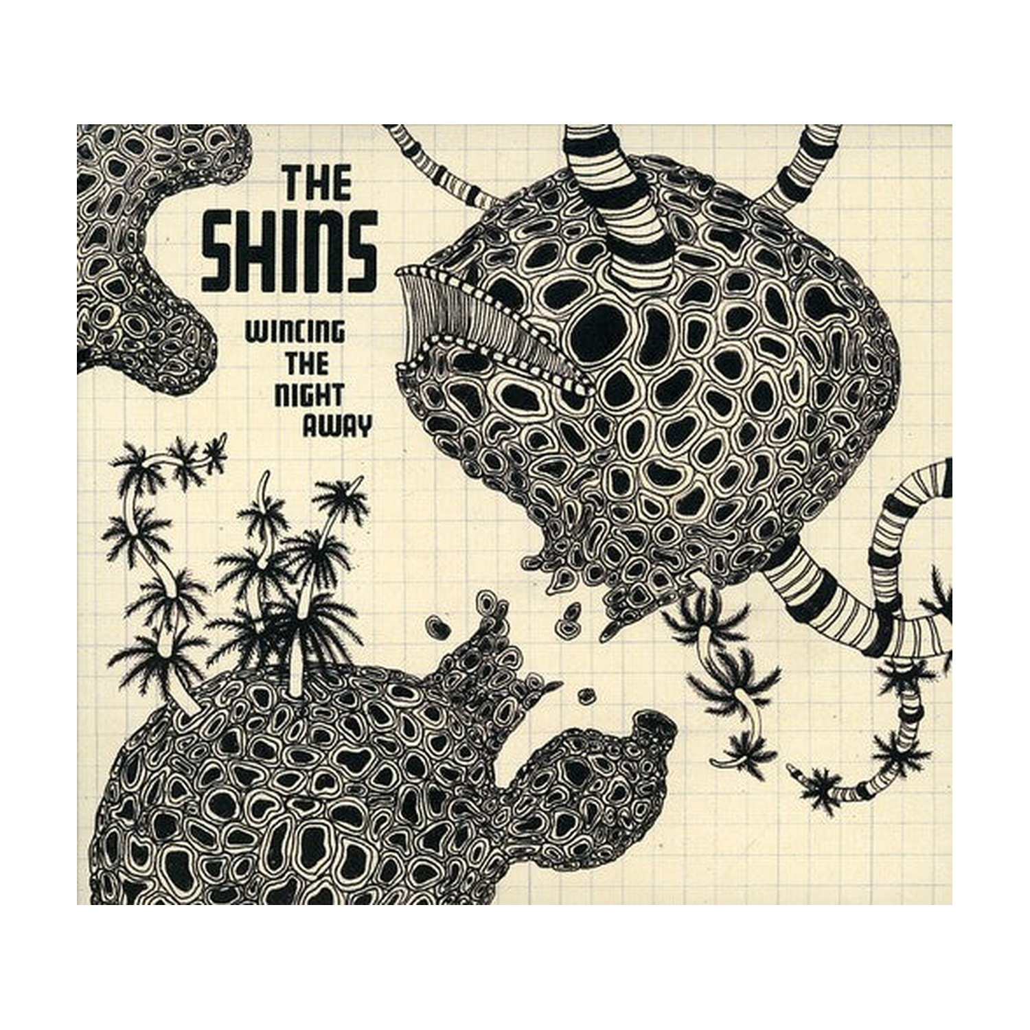 Shins - Wincing the Night Away (CD)