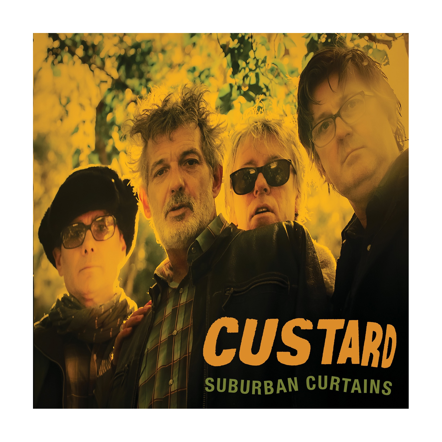 Custard - Suburban Curtains