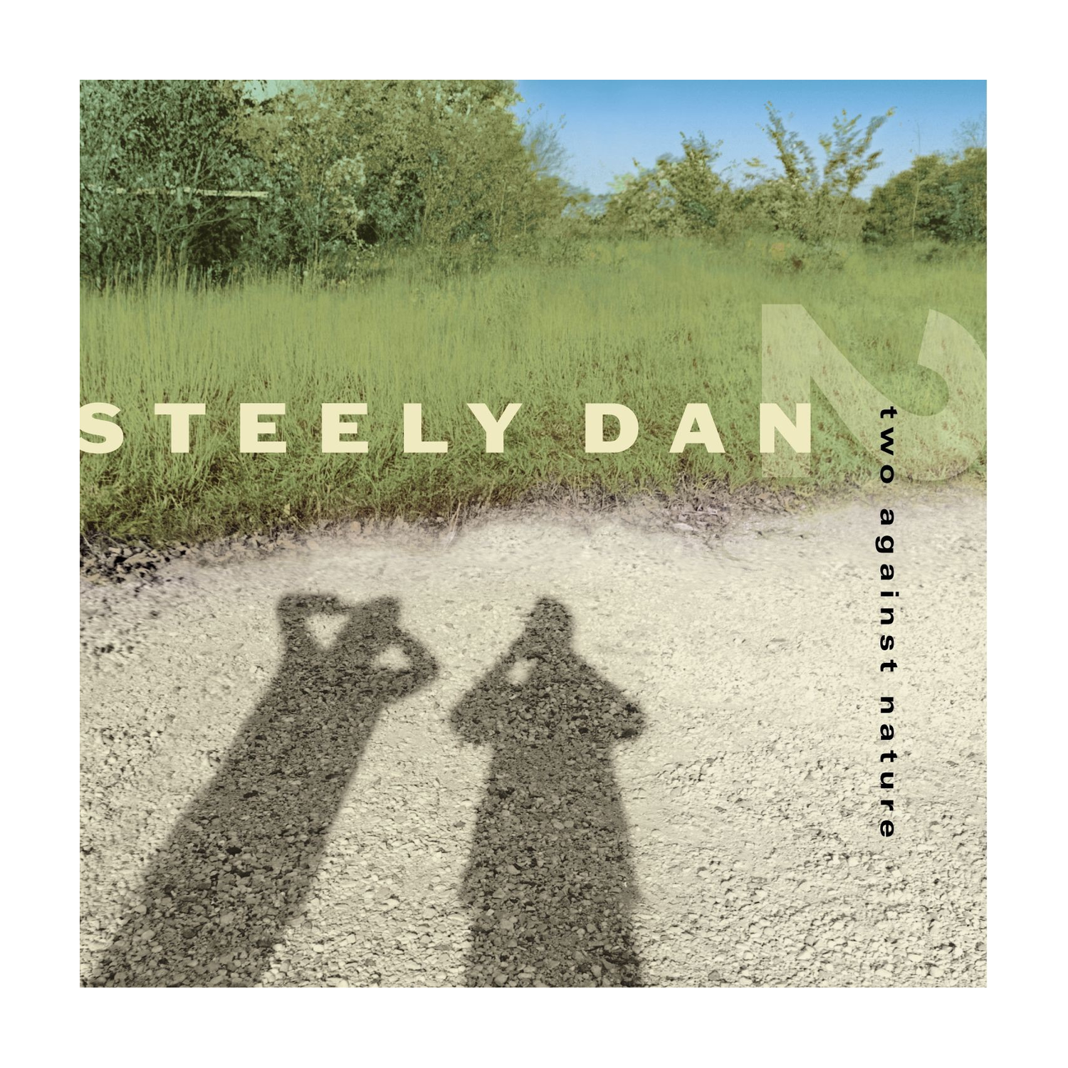 Steely Dan - Two Against Nature 2xLP