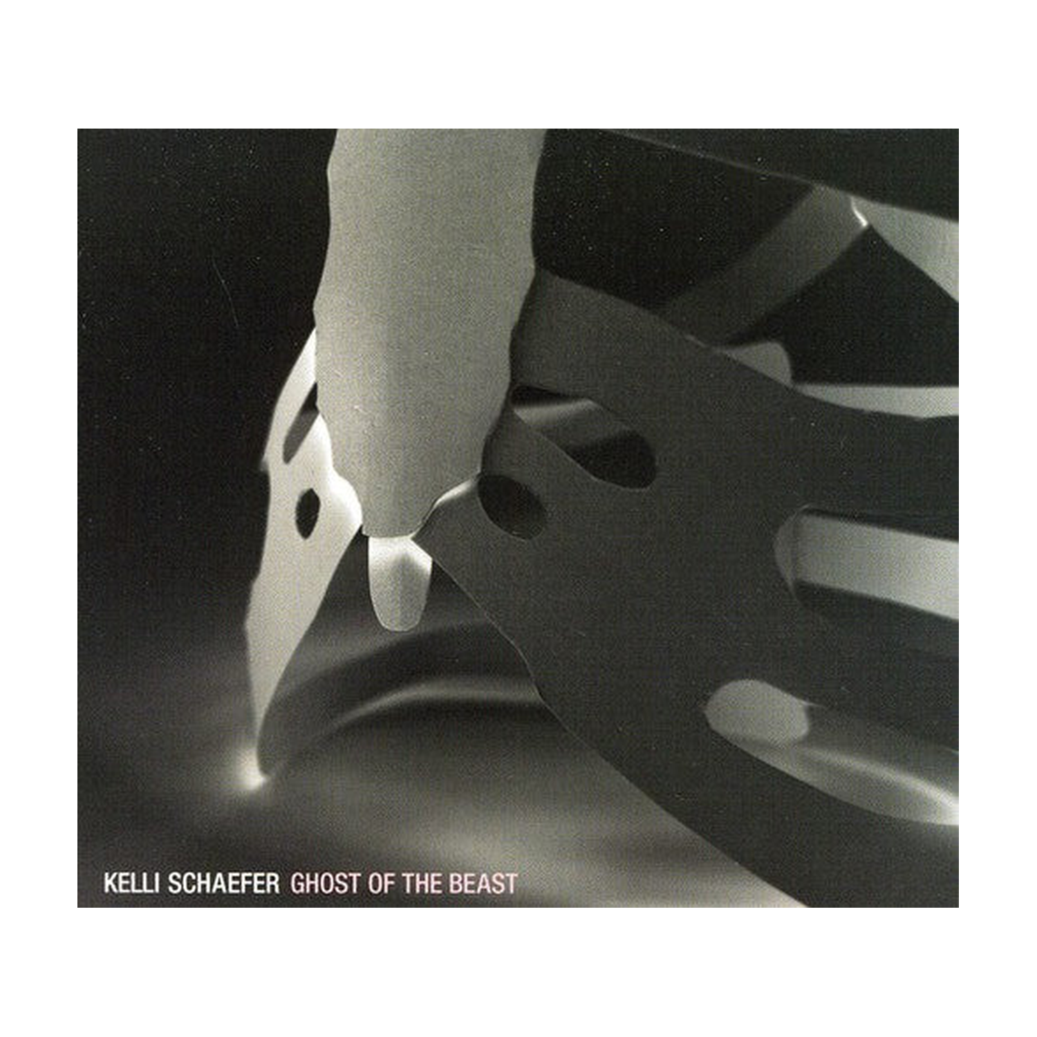 Kelli Schaefer - Ghost of the Beast (CD)