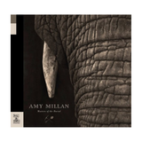 Amy Millan - Masters of the Burial