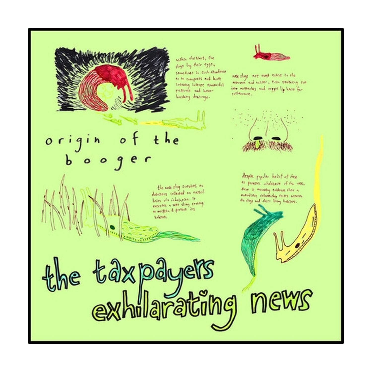 Taxpayers - Exhilarating News
