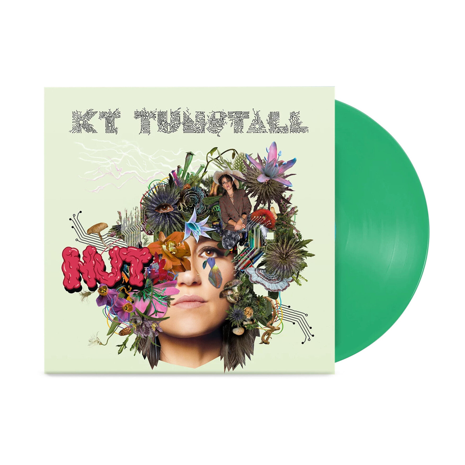 Kt Tunstall - Nut