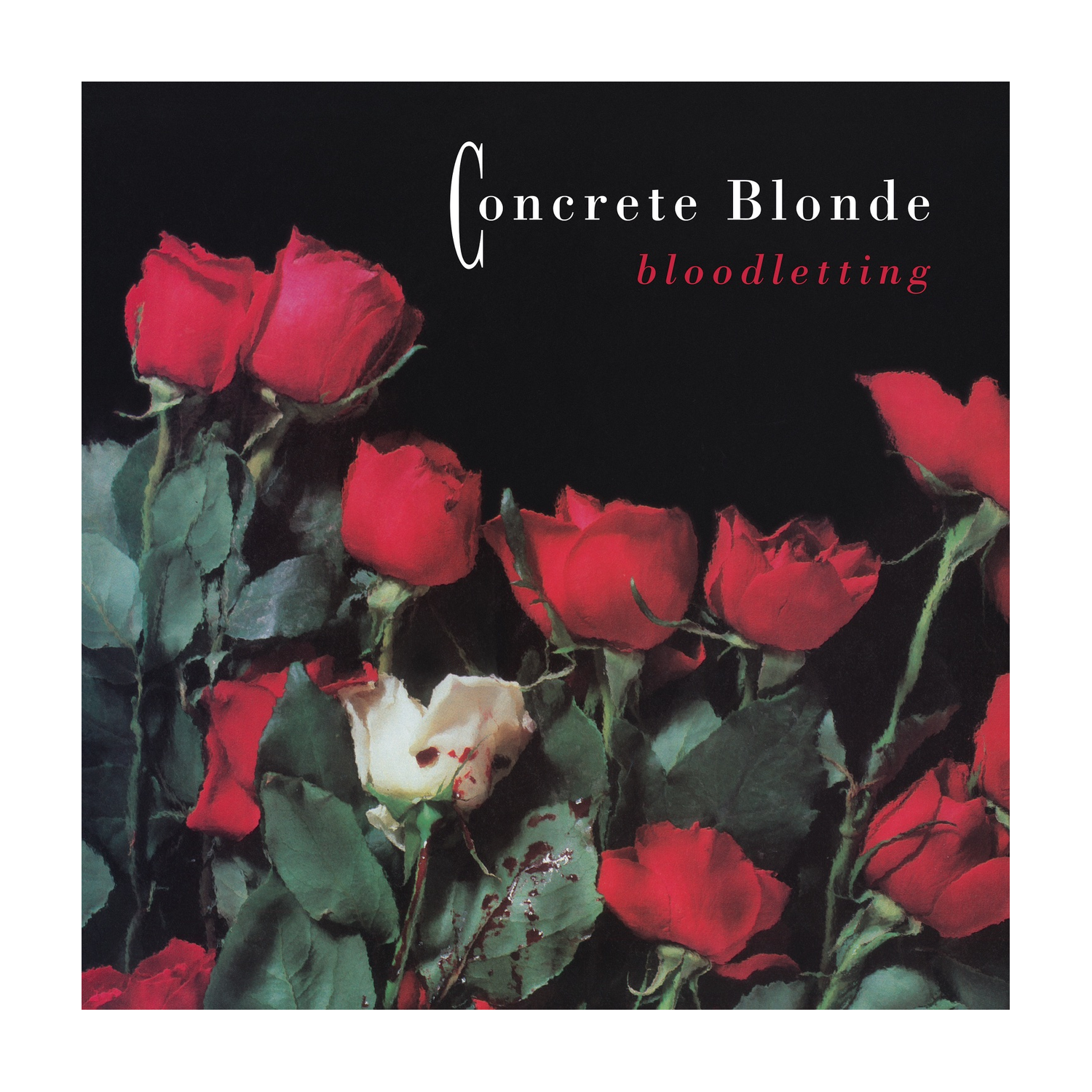 Concrete Blonde - Bloodletting