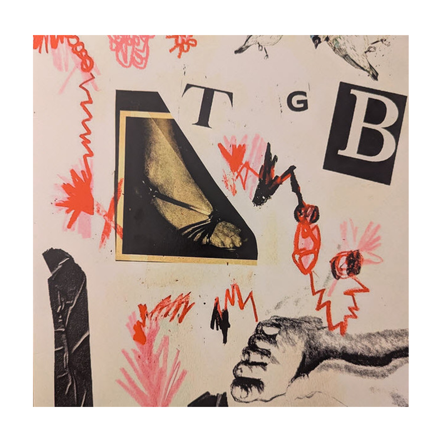 Teri Gender Bender - Tgb