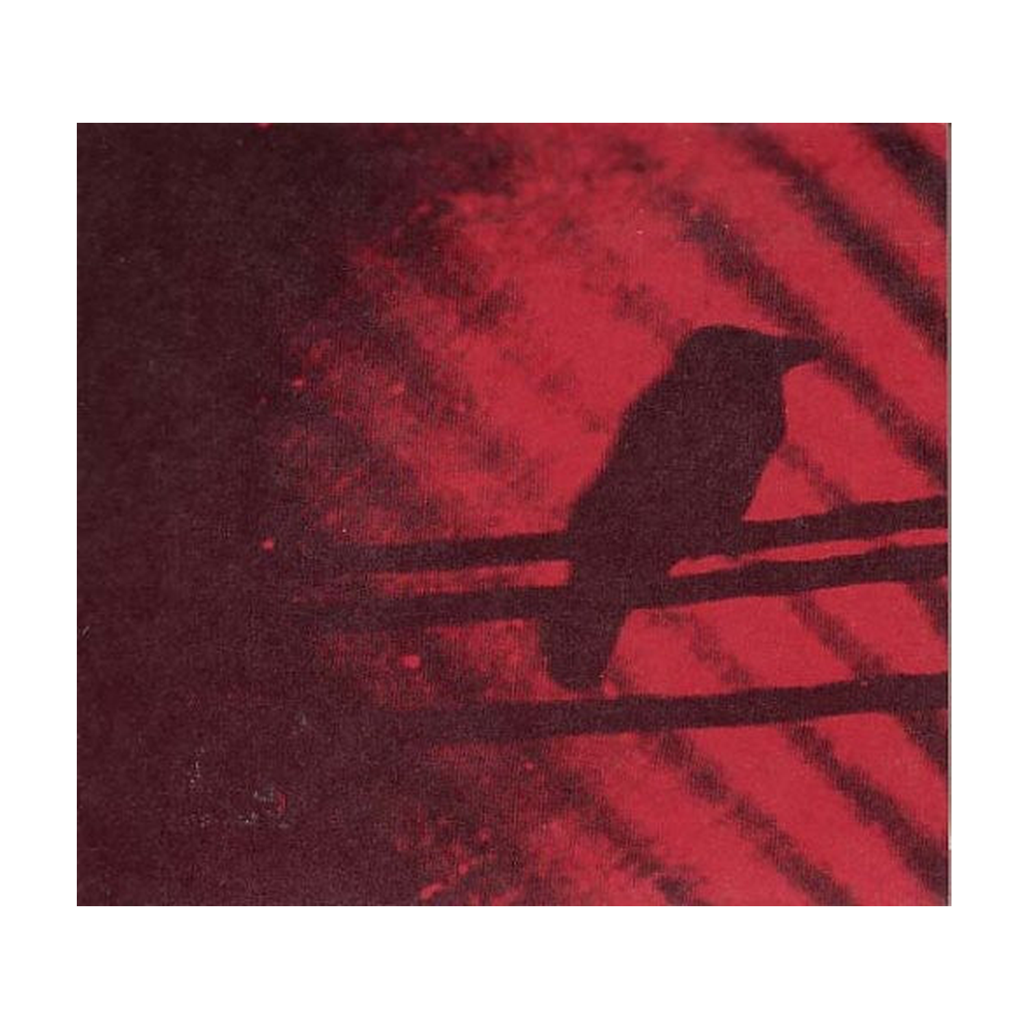 Silver Mt Zion - Born Into Trouble As the Sparks Fly Upward