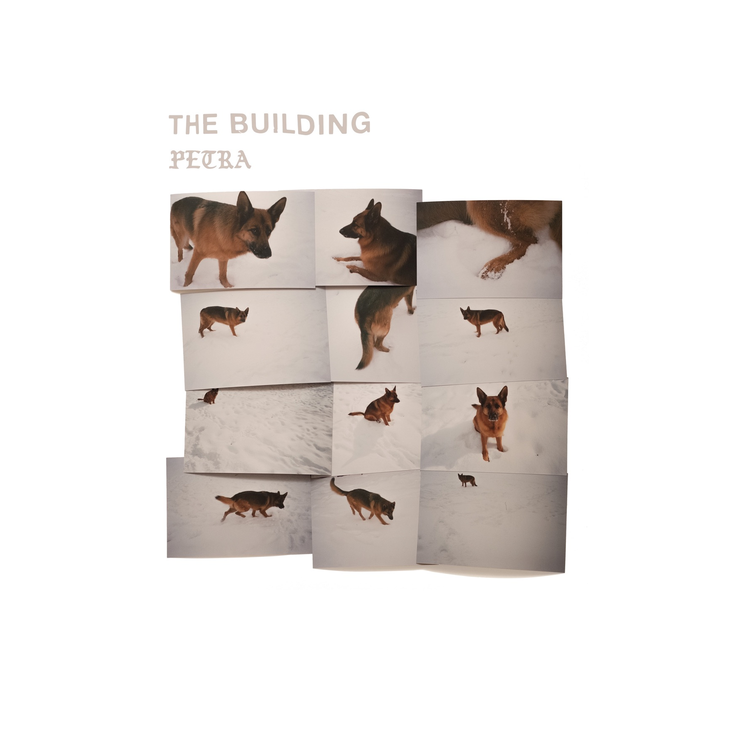 Building - Petra (CD)