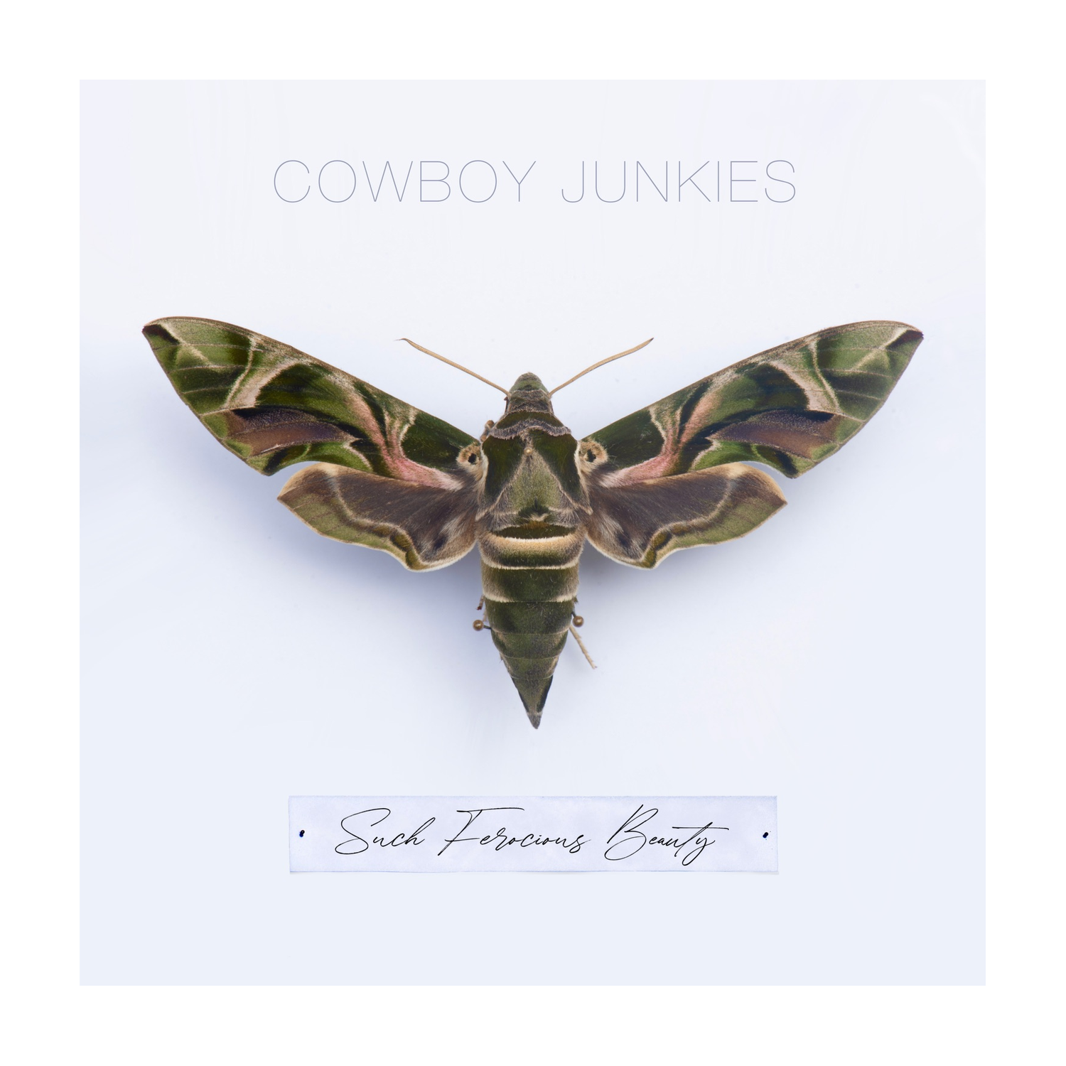 Cowboy Junkies - Such Ferocious Beauty - 140 (Tan Vinyl)