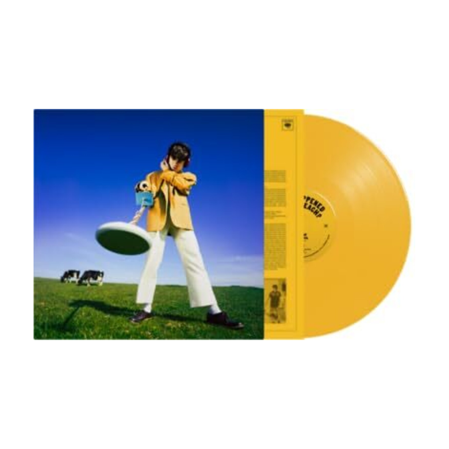 Declan McKenna - What Happened To The Beach (Yellow Vinyl)