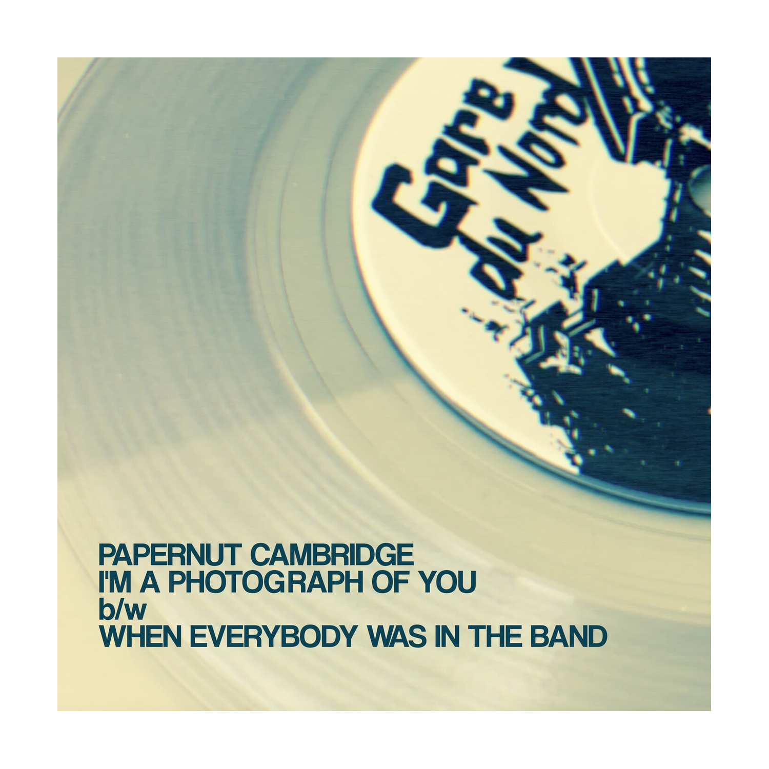 Papernut Cambridge - I'm A Photograph Of You (Clear Vinyl)