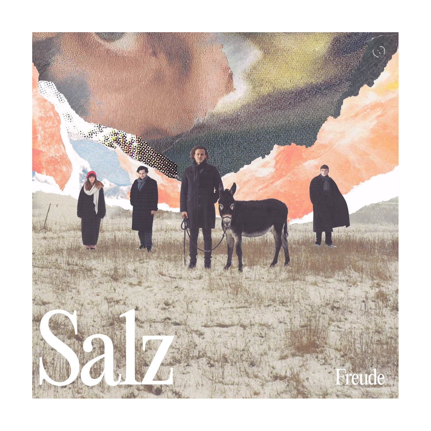 Freude - Salz