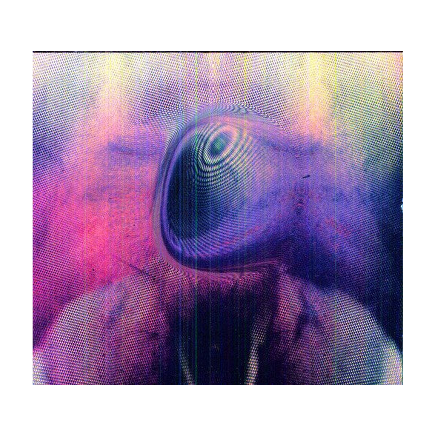 Young Magic - Melt (CD)