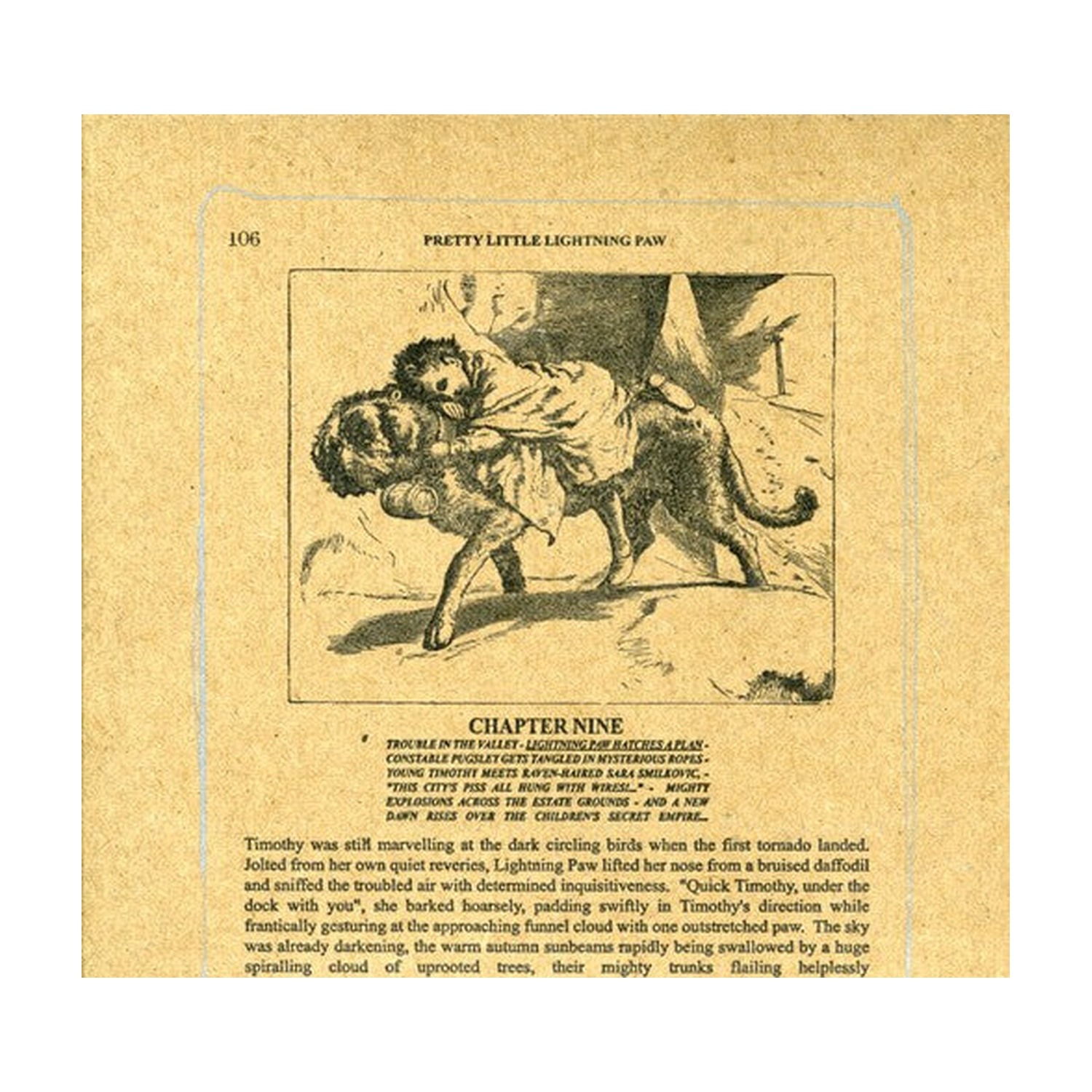 Silver Mountain Reveries - Pretty Little Lightning Paw (CD)