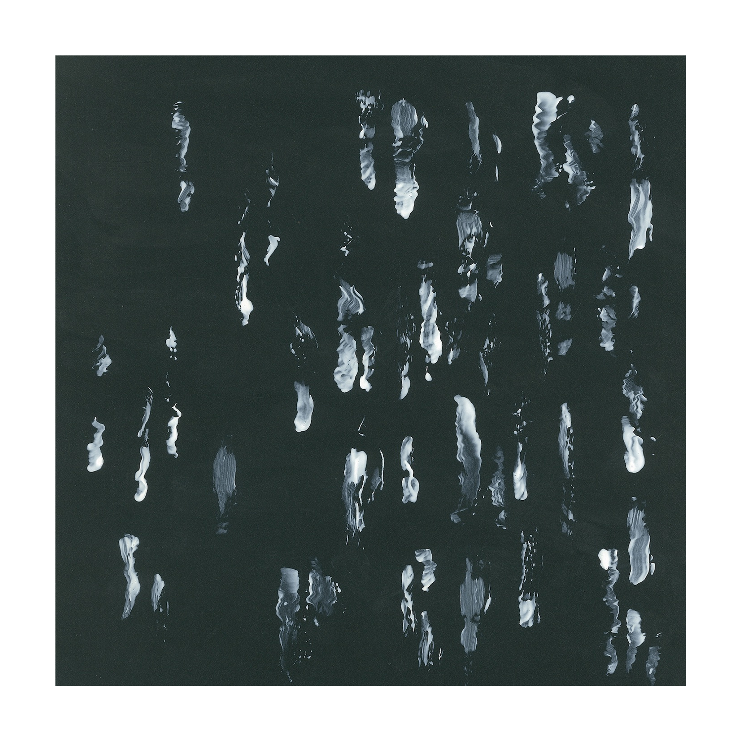Sightings - Amusers and Puzzlers