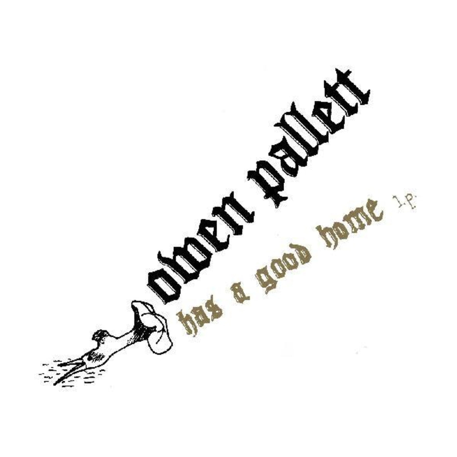 Owen Pallett - Has A Good Home