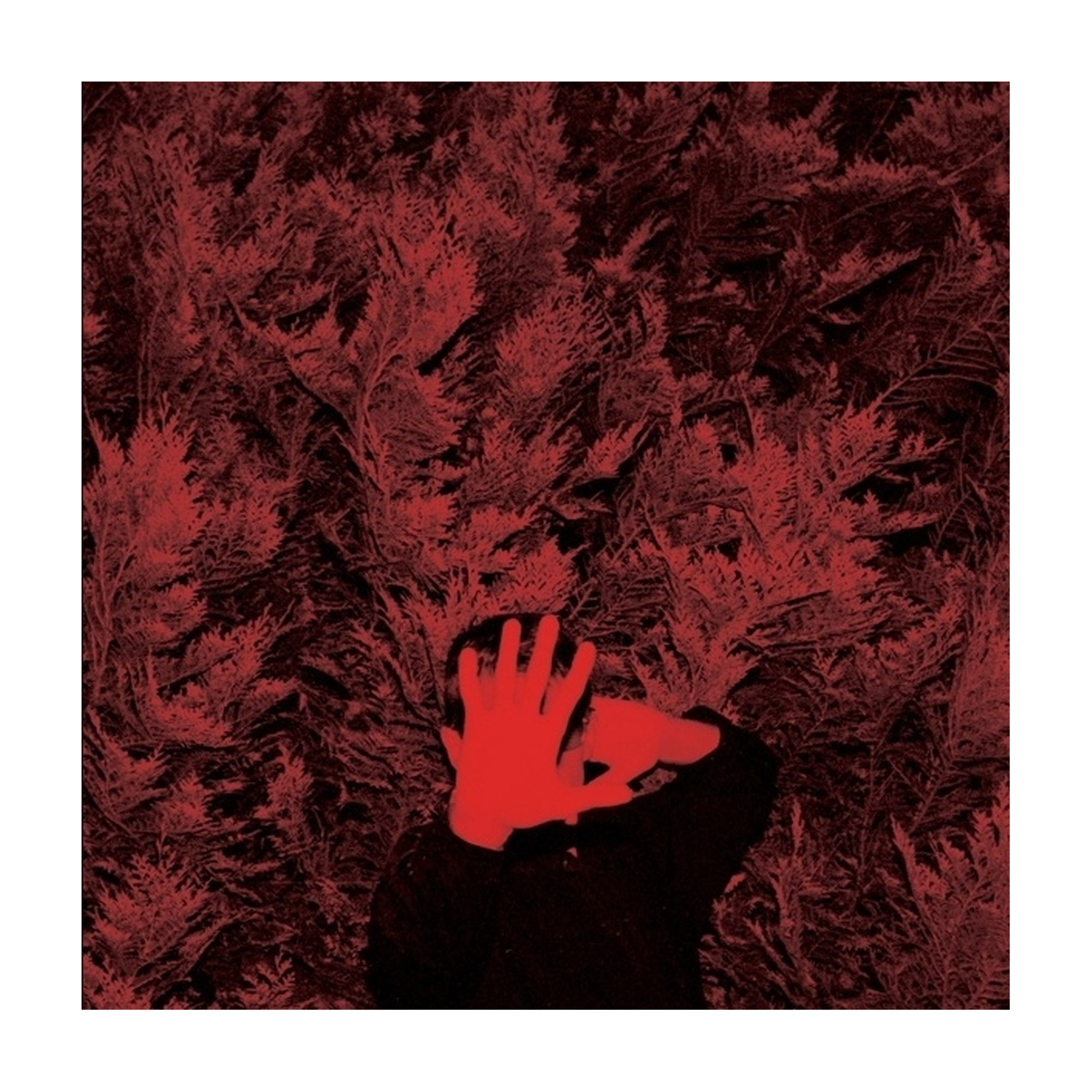 Cory Hanson - Unborn Capitalist From Limbo