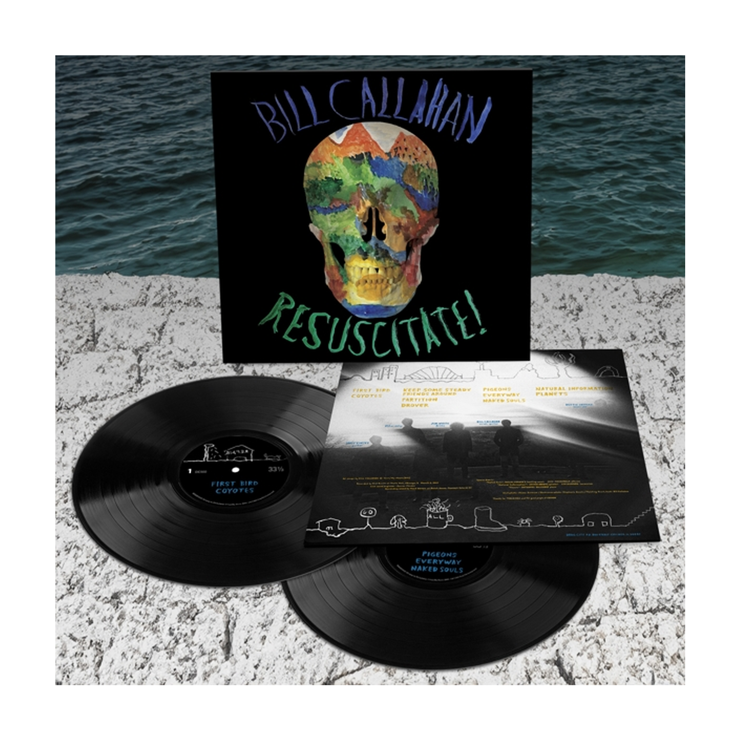 Bill Callahan - Resuscitate 2xLP