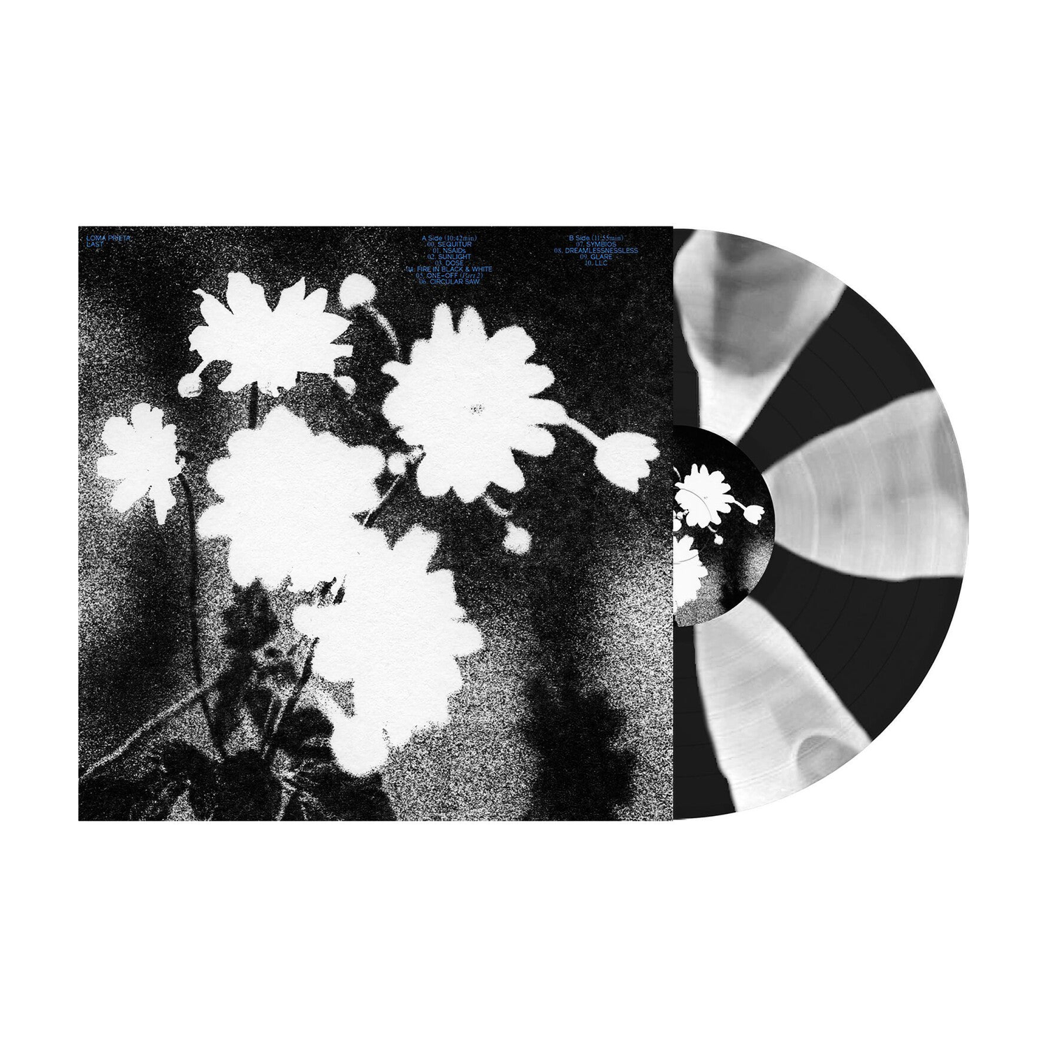 Loma Prieta - Last