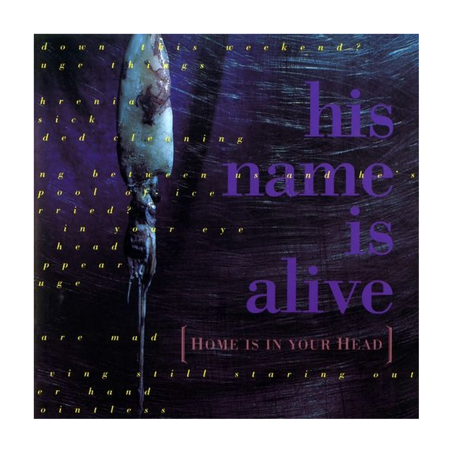 His Name Is Alive - Home Is In Your Head