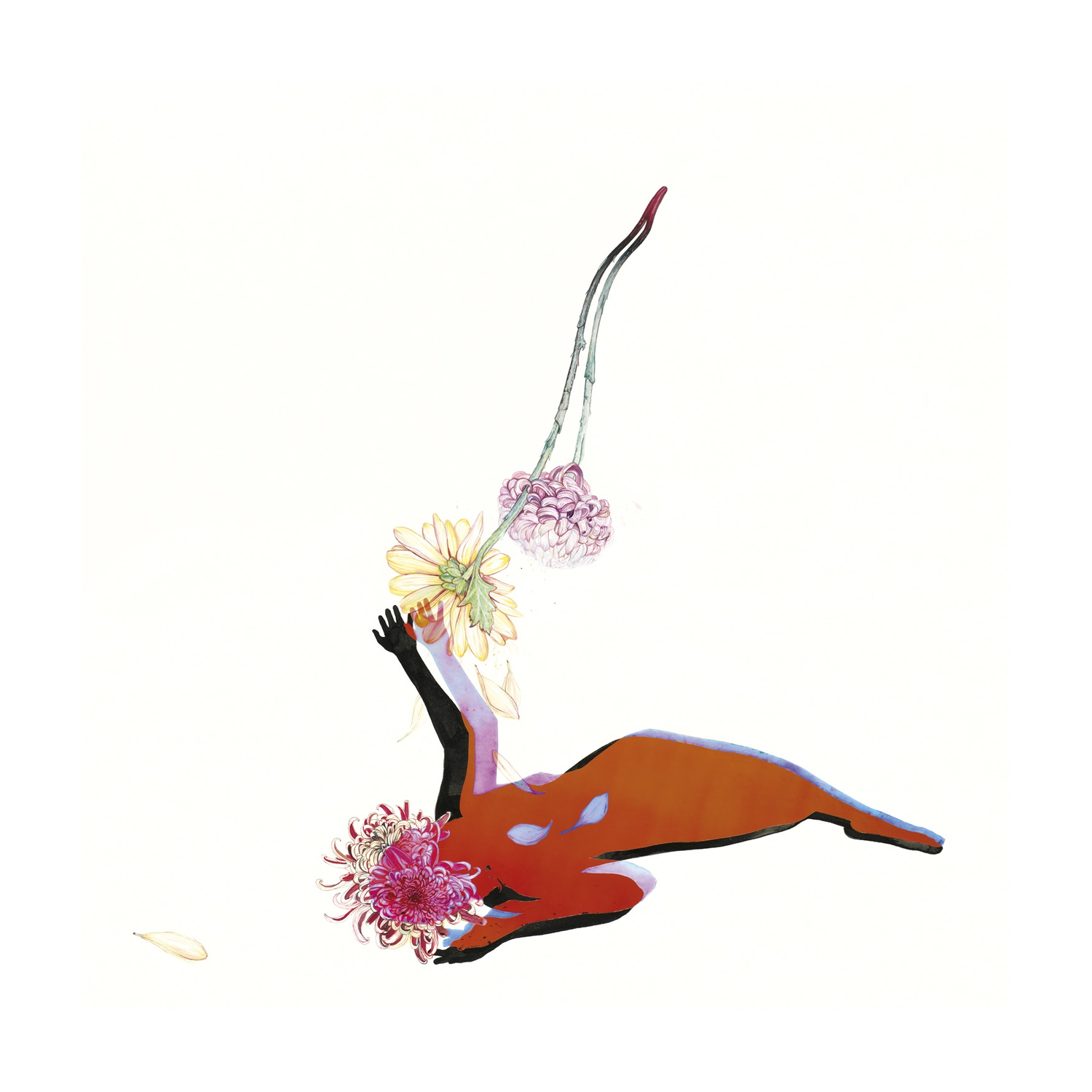 Future Islands - The Far Field