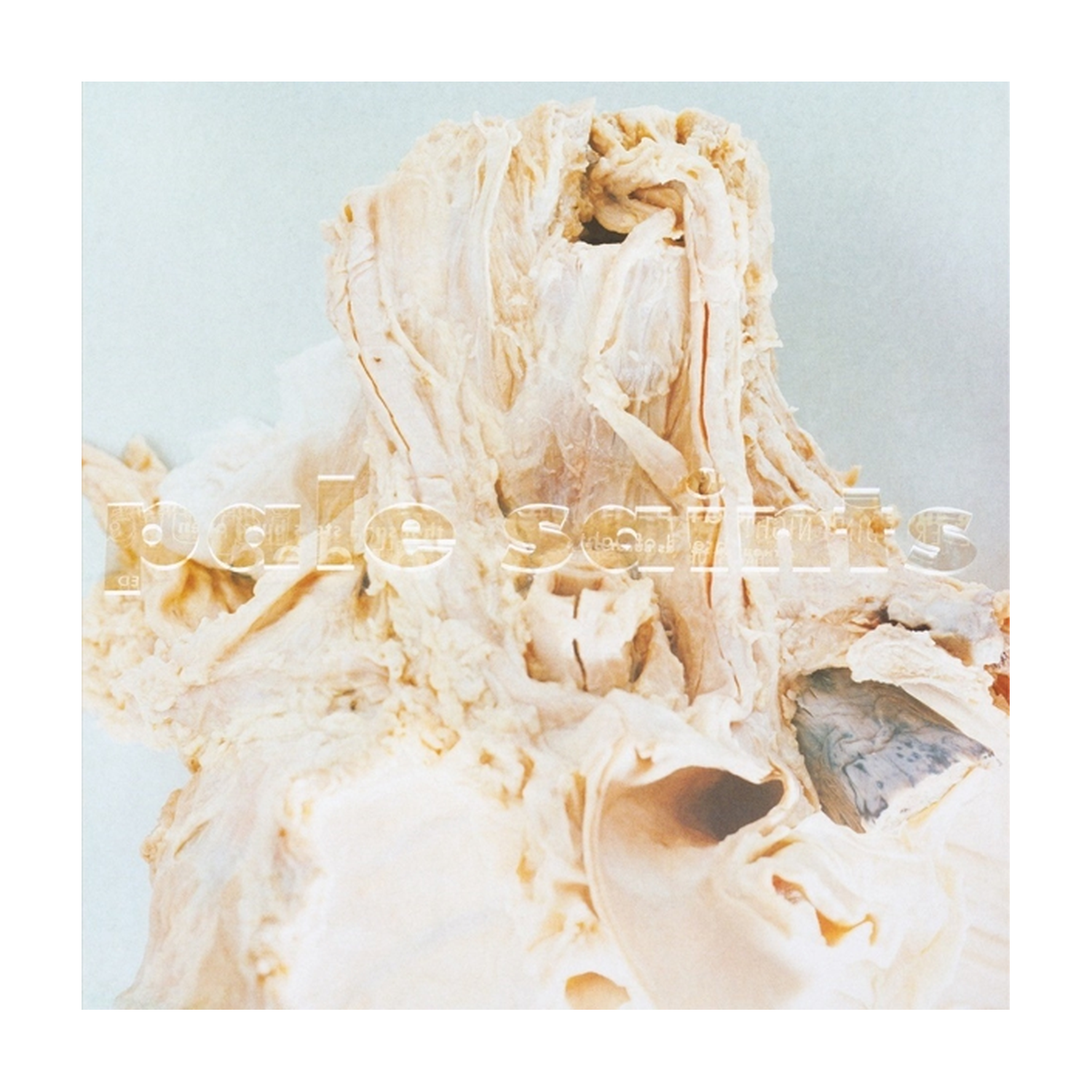 Pale Saints - In Ribbons 2xLP (Deluxe)