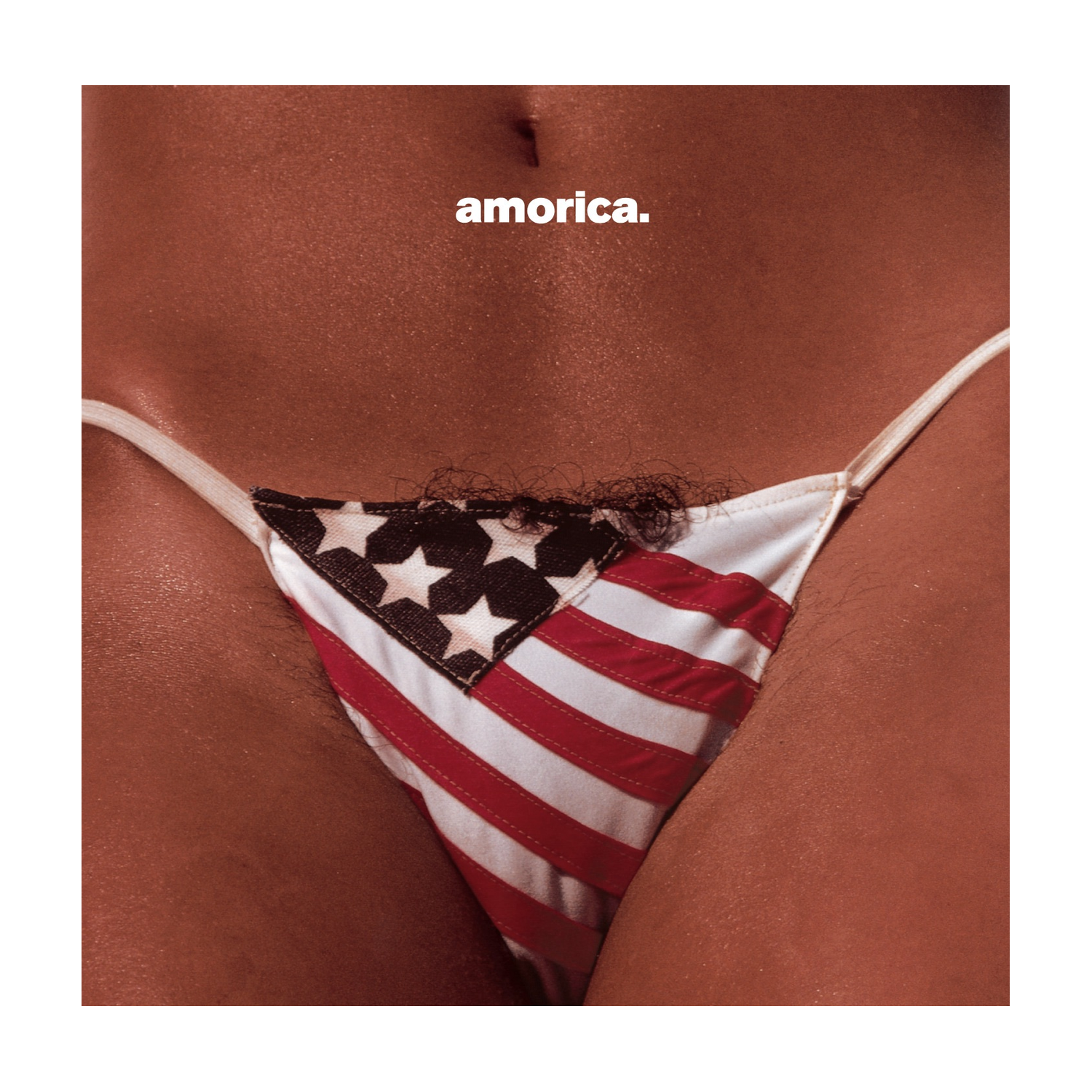 Black Crowes - Amorica. (CD)