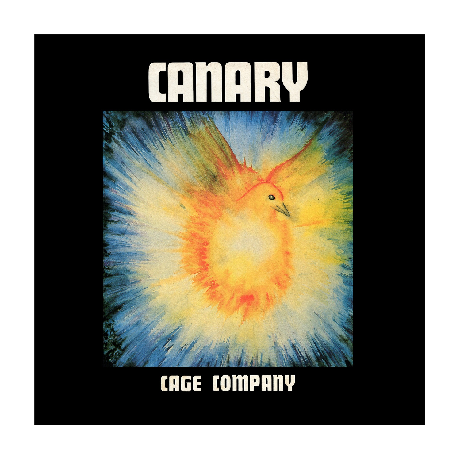 Canary - Cage Company