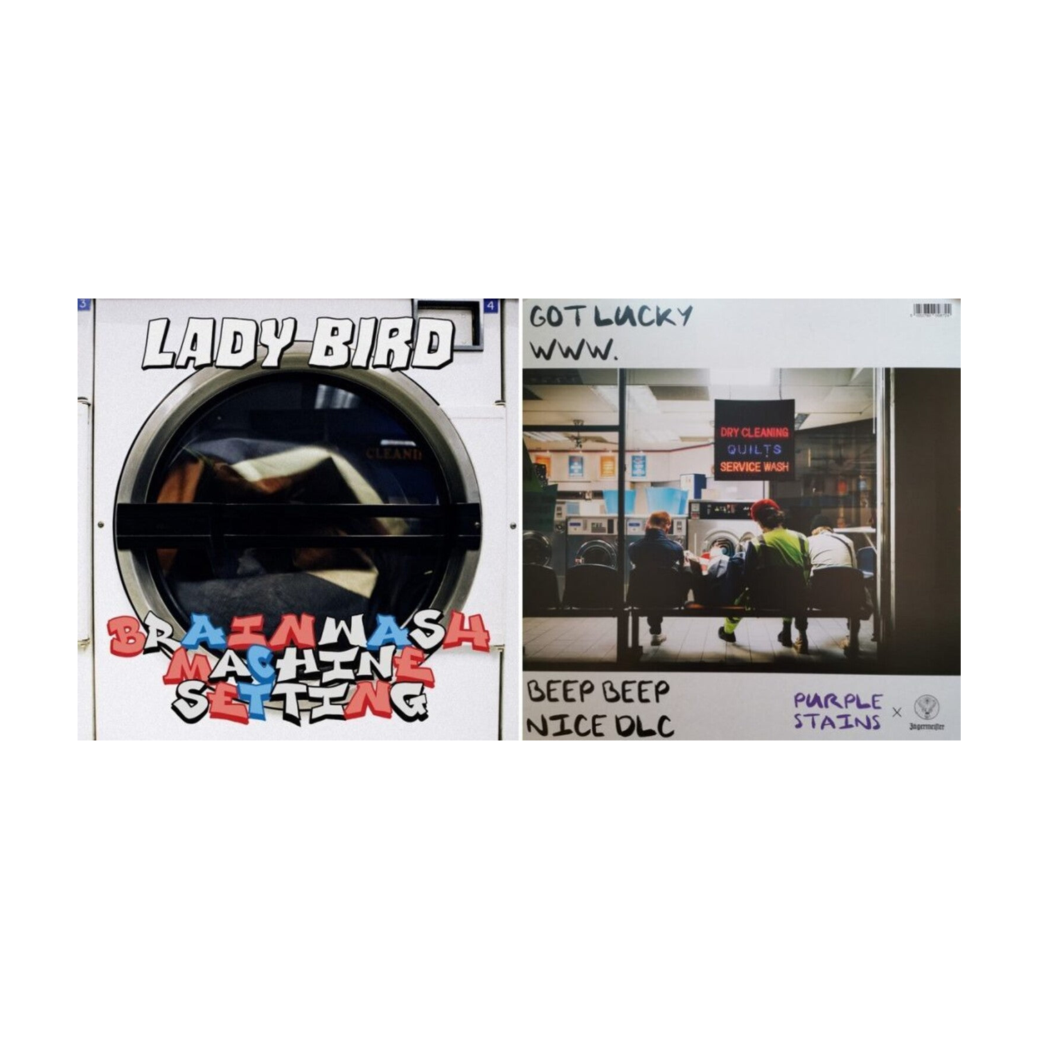 Lady Bird - Brainwash Machine Settings