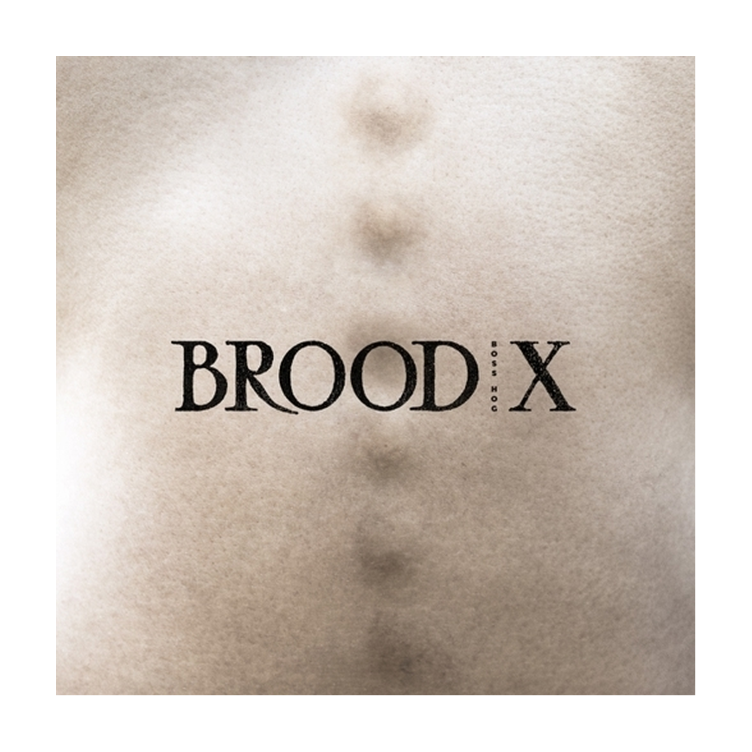 Boss Hog - Brood X